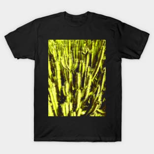 Cacti T-Shirt